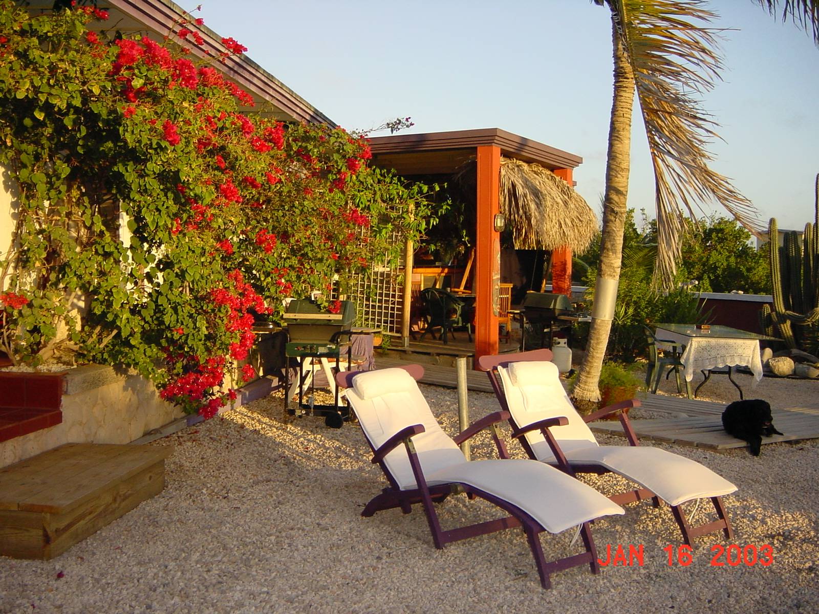 Beach House Aruba Home